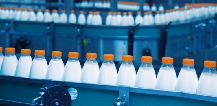Схемы сертификации молочной продукции